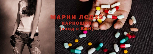 СК Аркадак