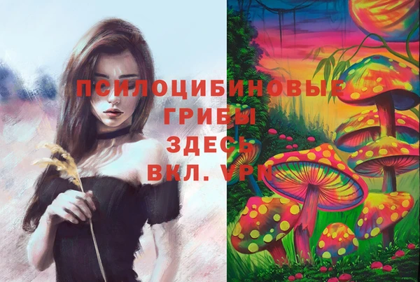 СК Аркадак