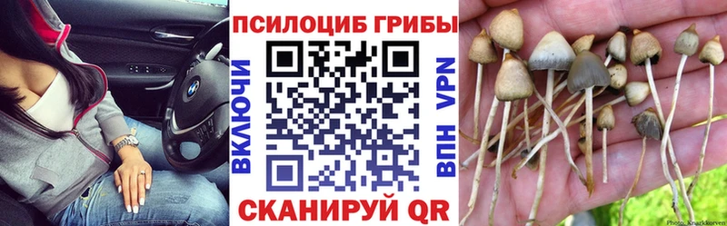 Псилоцибиновые грибы GOLDEN TEACHER  Опочка 