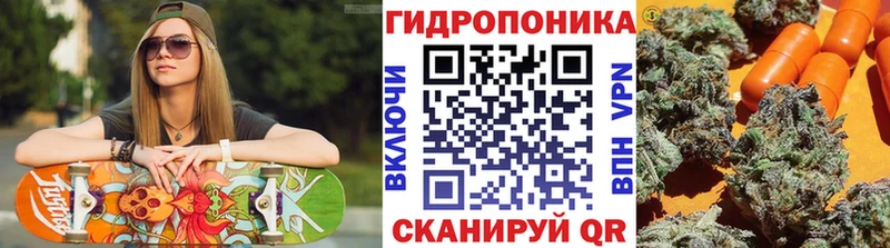 где можно купить наркотик  Опочка  Конопля семена 